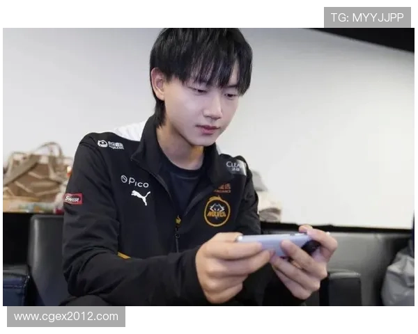 Fly王者荣耀赛场无双风采见证巅峰操作与团队精神 Fly王者荣耀赛场无双风采见证巅峰操作与团队精神