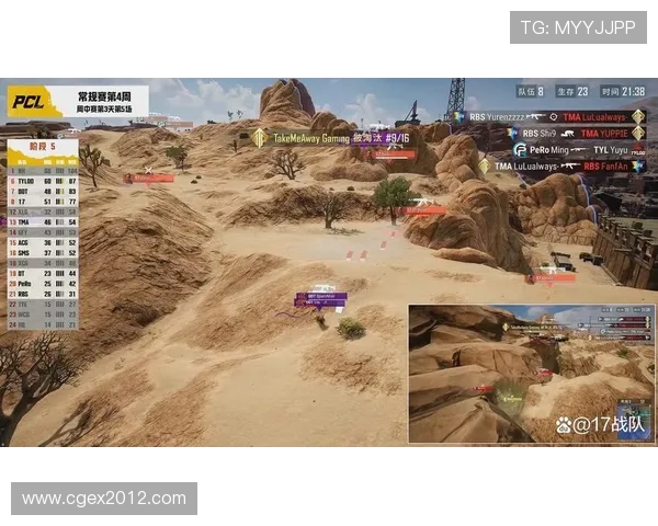 Virtus.pro绝地求生战队实力分析与战术风格探讨