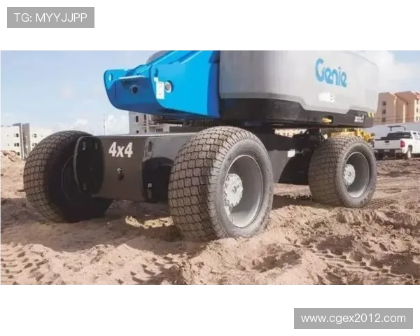 全球体坛焦点赛事最新比分动态全面解析与深度数据追踪