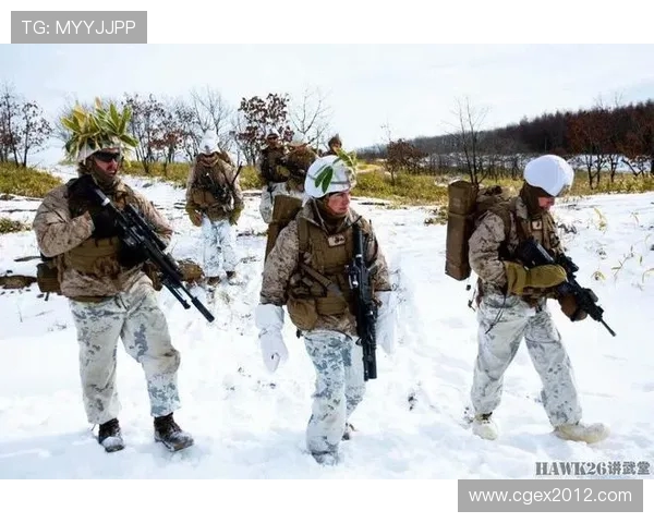 《Viper射手崛起全解析 精通技巧与战略助你征服战场》