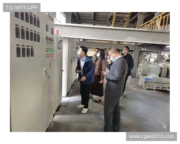 FPX青年赛转型之路探索新机遇与挑战的全面分析