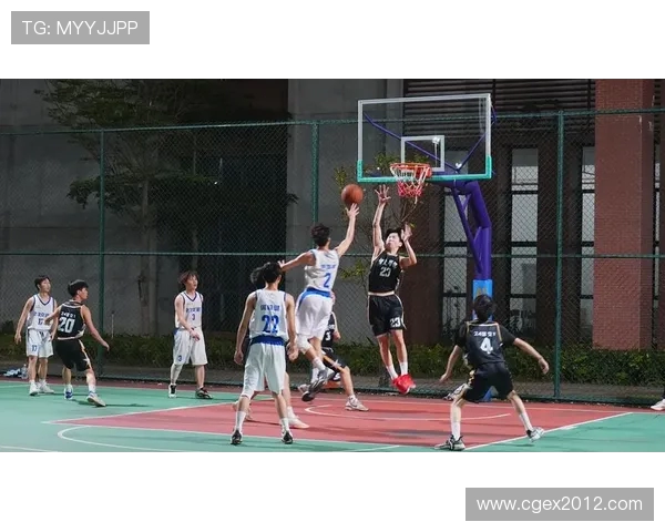 南京篮球队精英赛表现分析团队协作的重要性与未来发展方向探讨