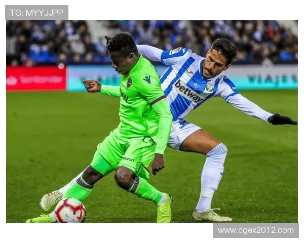 成都飞盘队整体压制战术解析及其在比赛中的应用效果分析