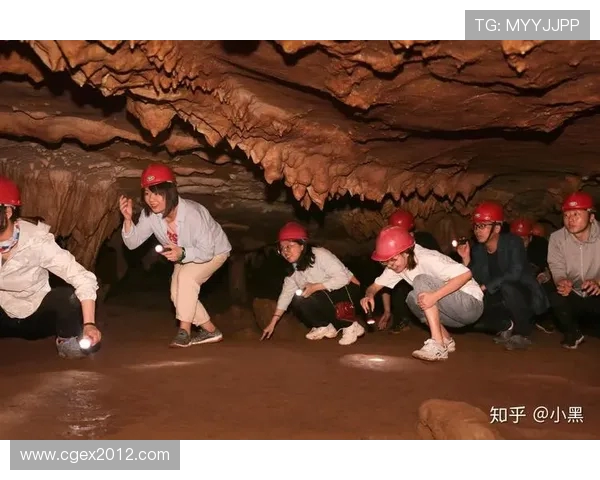 杭州攀岩队团队协作表现的数据分析与提升策略探讨