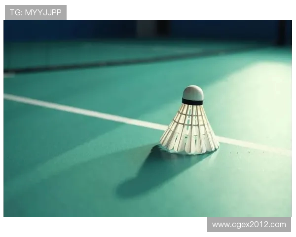 羽毛球技艺深探:揭秘北京羽毛球队的防守与反击策略 羽毛球技艺深探:揭秘北京羽毛球队的防守与反击策略