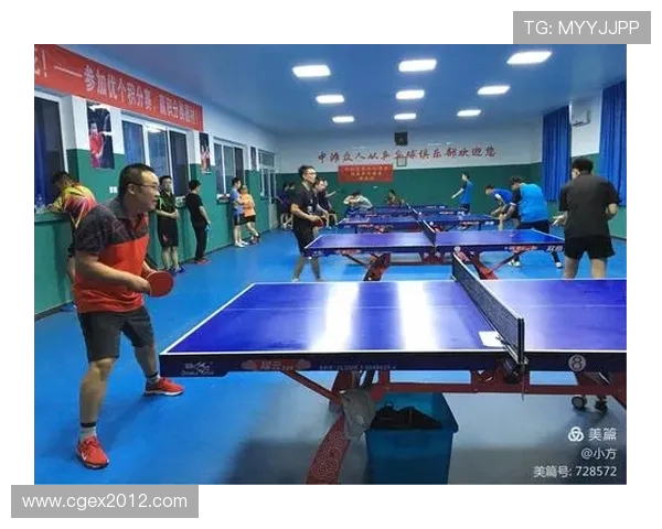 陈敏独家分享乒乓球技巧与心得助你提升球技的秘密武器